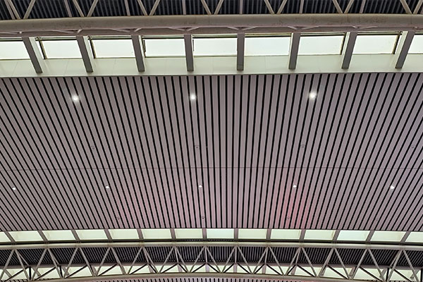 拉萨网架工程公司产品解析：多样网架类型满足不同需求